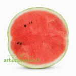 Burebista F1 - Image 2