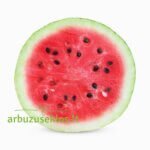 Crimson Sweet - Image 2