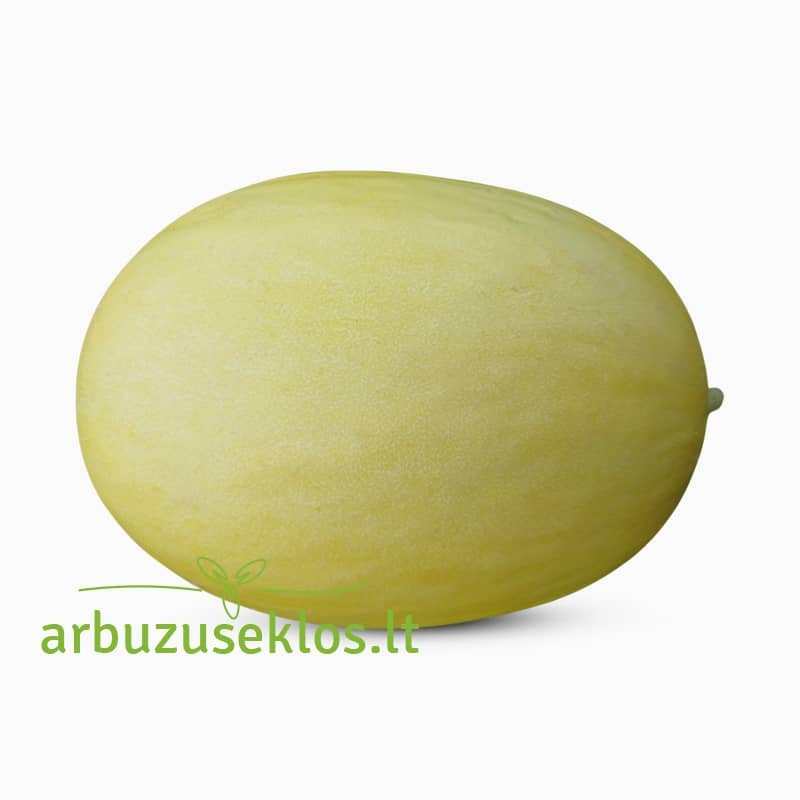 Jaune Canari Hâtif001 Jaune Canari Hâtif