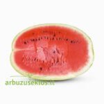 Arashan F1 - Image 2