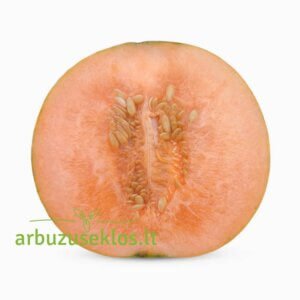 Charentais Précoce du Roc