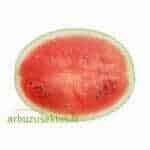 Karistan F1 - Image 2