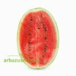 Capitol F1 - Image 2