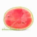 Sugar Delicata F1 - Image 2