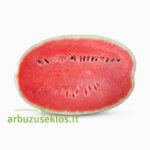 Early Samanta F1 - Image 2