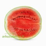 Miracle F1 - Image 2