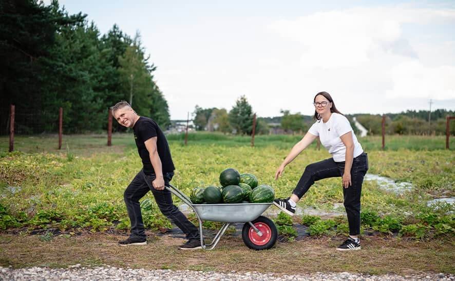 2025 m. arbūzų sezono apžvalga